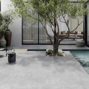 F6952 Polished/MATT Tile
