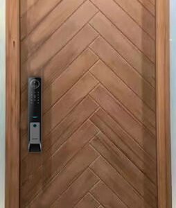 Pivot Door 6