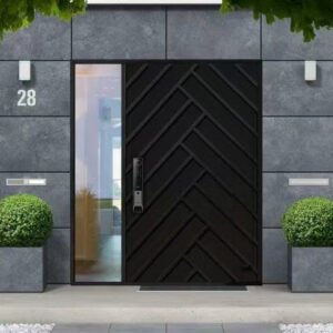 Pivot Door 2