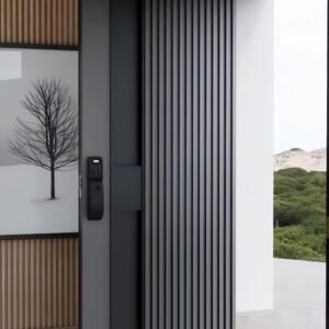 Pivot Door 4